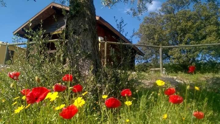Вілла Casa La Colina Mandarina II Casa De Madera Tahal Екстер'єр фото